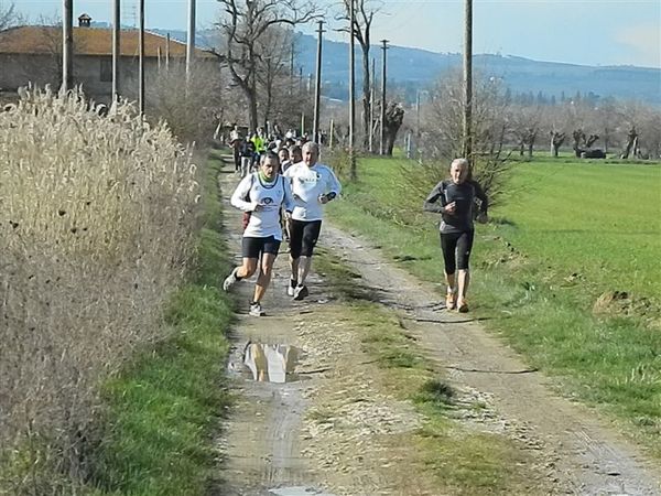 Premi per vedere l'immagine alla massima grandezza