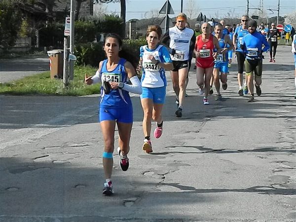 Premi per vedere l'immagine alla massima grandezza