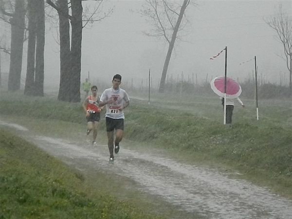 Premi per vedere l'immagine alla massima grandezza