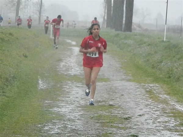 Premi per vedere l'immagine alla massima grandezza