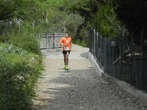 Premi per vedere l'immagine alla massima grandezza