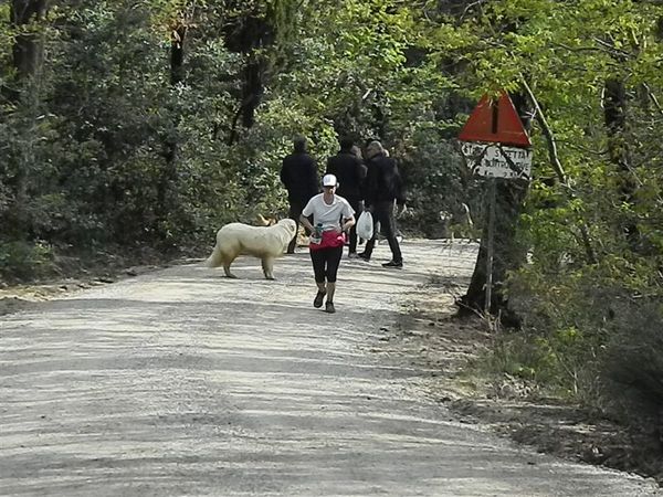 Premi per vedere l'immagine alla massima grandezza