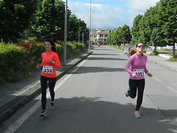 Premi per vedere l'immagine alla massima grandezza