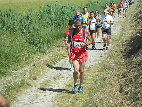 Premi per vedere l'immagine alla massima grandezza