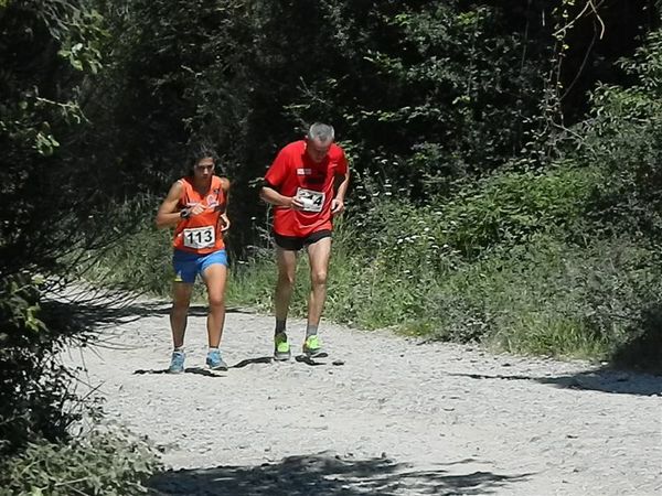 Premi per vedere l'immagine alla massima grandezza