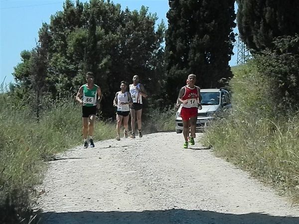 Premi per vedere l'immagine alla massima grandezza