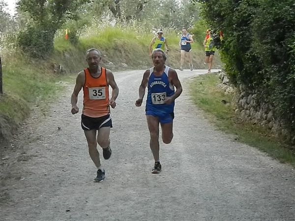 Premi per vedere l'immagine alla massima grandezza