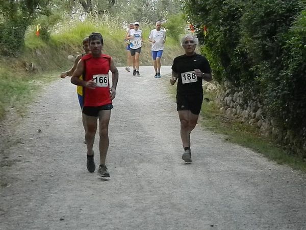 Premi per vedere l'immagine alla massima grandezza