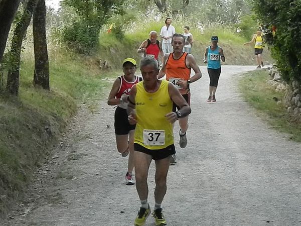 Premi per vedere l'immagine alla massima grandezza