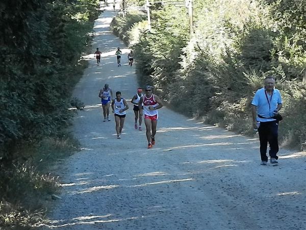 Premi per vedere l'immagine alla massima grandezza