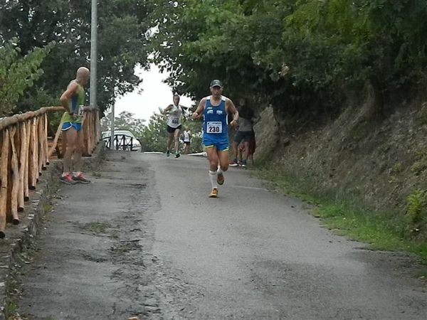 Premi per vedere l'immagine alla massima grandezza