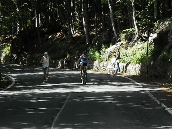 Premi per vedere l'immagine alla massima grandezza