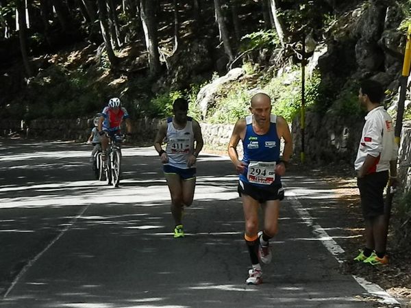 Premi per vedere l'immagine alla massima grandezza