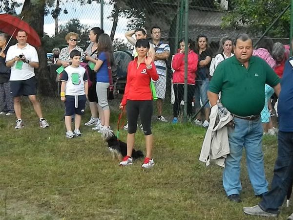 Premi per vedere l'immagine alla massima grandezza