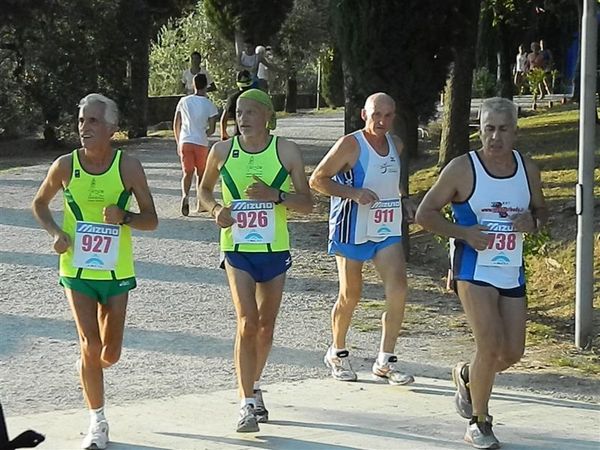 Premi per vedere l'immagine alla massima grandezza