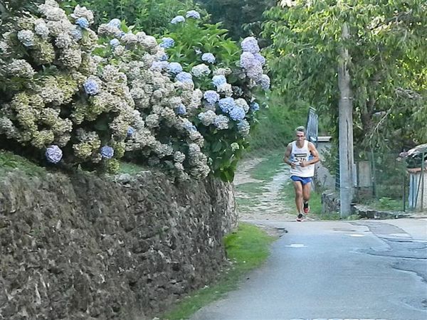 Premi per vedere l'immagine alla massima grandezza