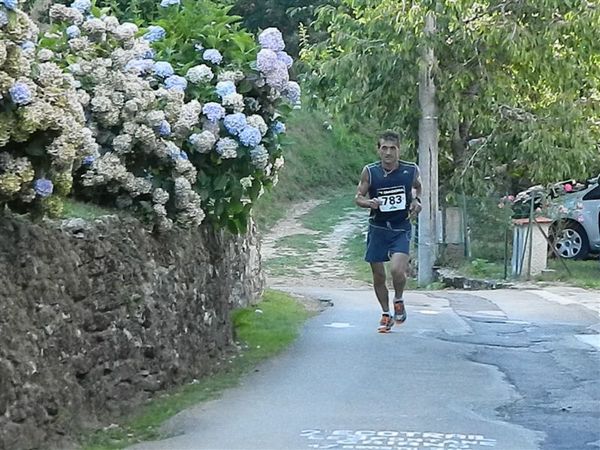 Premi per vedere l'immagine alla massima grandezza