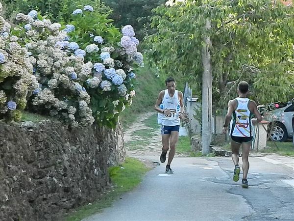 Premi per vedere l'immagine alla massima grandezza