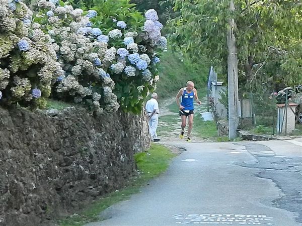 Premi per vedere l'immagine alla massima grandezza