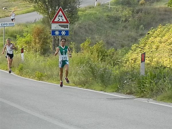 Premi per vedere l'immagine alla massima grandezza