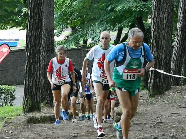 Premi per vedere l'immagine alla massima grandezza