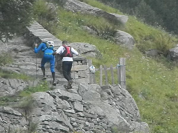 Premi per vedere l'immagine alla massima grandezza