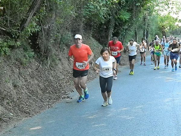 Premi per vedere l'immagine alla massima grandezza