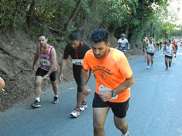 Premi per vedere l'immagine alla massima grandezza