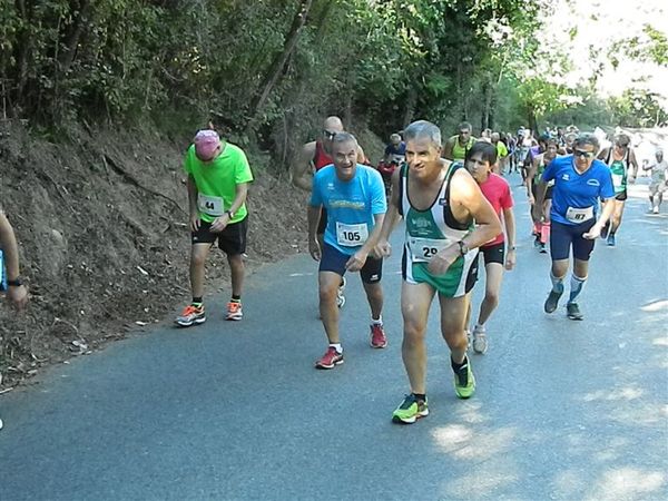 Premi per vedere l'immagine alla massima grandezza