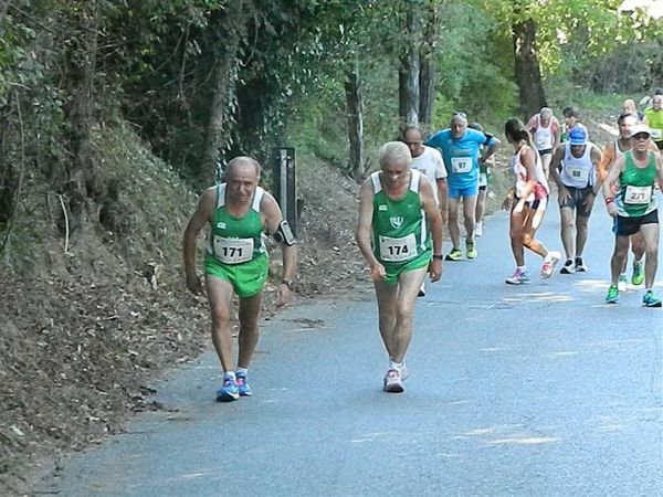 Premi per vedere l'immagine alla massima grandezza