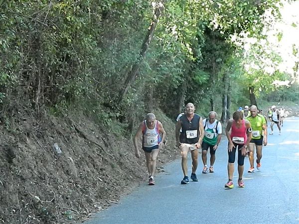 Premi per vedere l'immagine alla massima grandezza