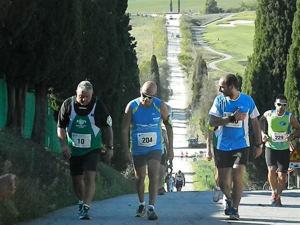 Premi per vedere l'immagine alla massima grandezza