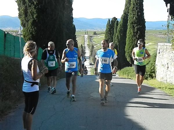 Premi per vedere l'immagine alla massima grandezza