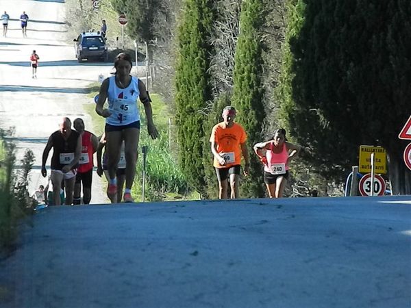 Premi per vedere l'immagine alla massima grandezza