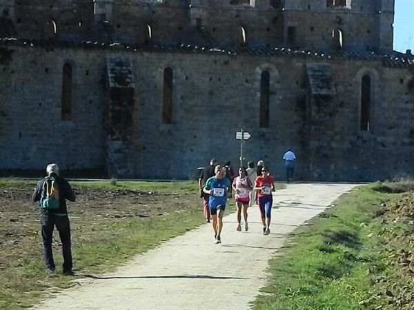 Premi per vedere l'immagine alla massima grandezza