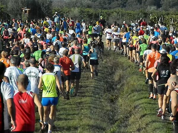 Premi per vedere l'immagine alla massima grandezza