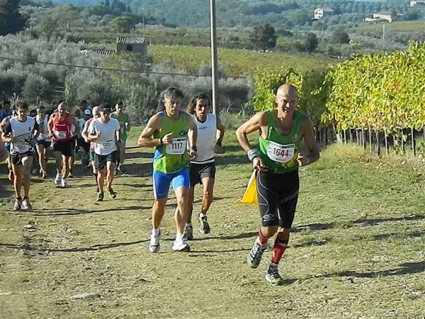 Premi per vedere l'immagine alla massima grandezza