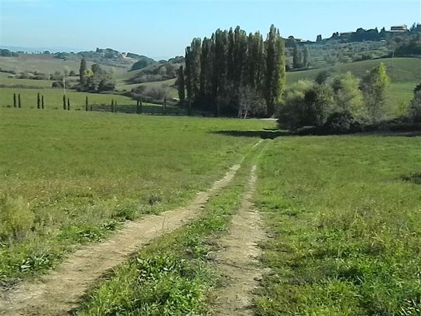 Premi per vedere l'immagine alla massima grandezza