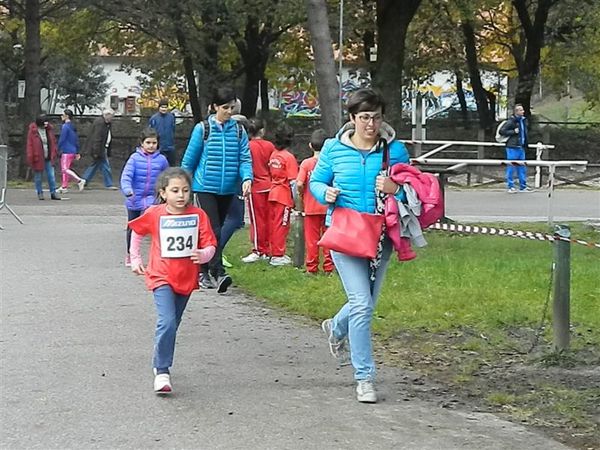 Premi per vedere l'immagine alla massima grandezza