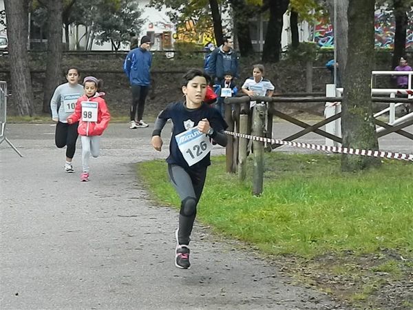 Premi per vedere l'immagine alla massima grandezza