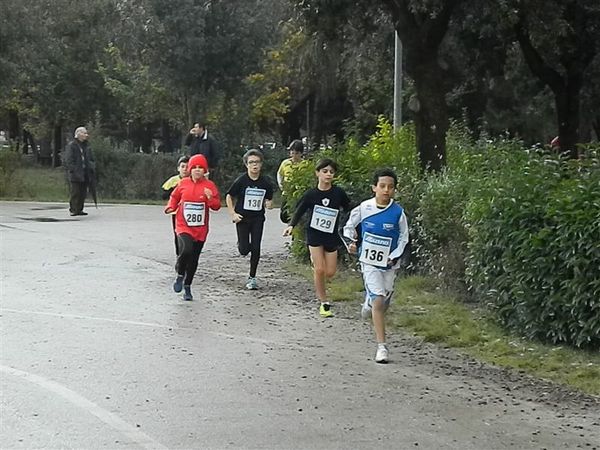 Premi per vedere l'immagine alla massima grandezza