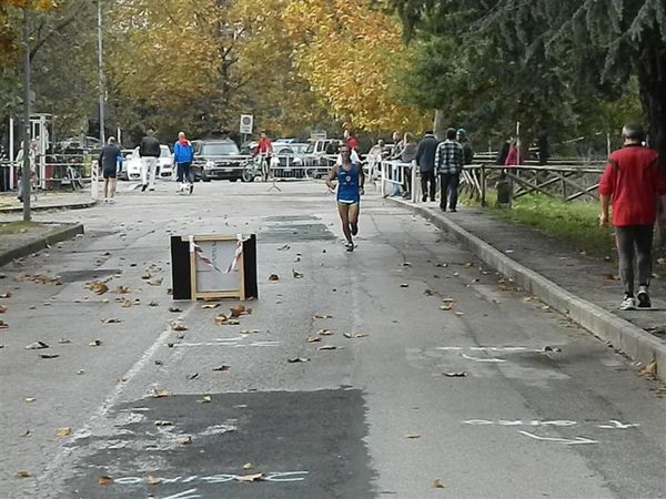 Premi per vedere l'immagine alla massima grandezza