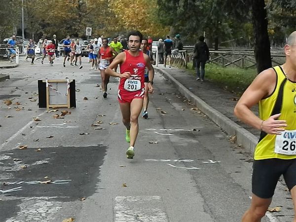 Premi per vedere l'immagine alla massima grandezza