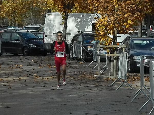 Premi per vedere l'immagine alla massima grandezza