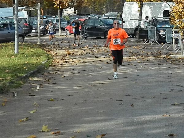 Premi per vedere l'immagine alla massima grandezza