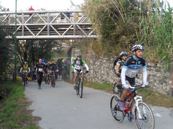 Premi per vedere l'immagine alla massima grandezza