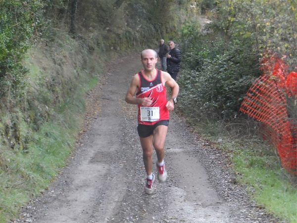 Premi per vedere l'immagine alla massima grandezza