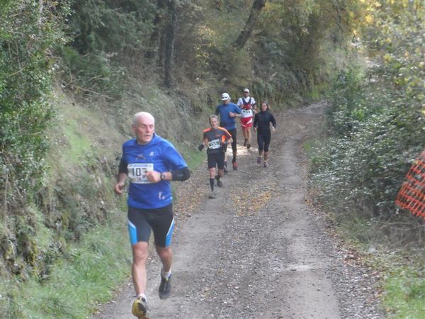 Premi per vedere l'immagine alla massima grandezza