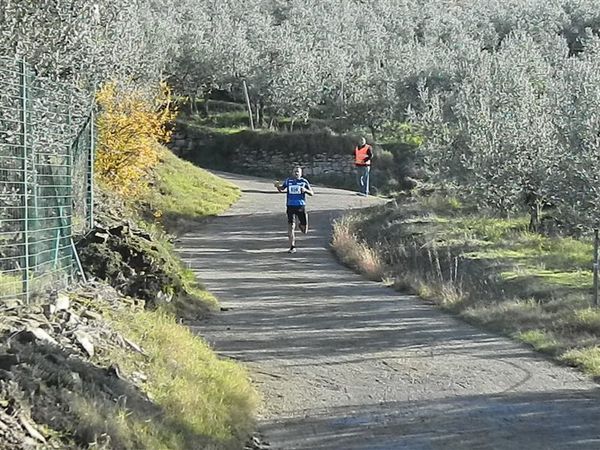 Premi per vedere l'immagine alla massima grandezza