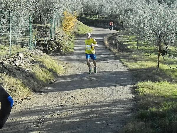 Premi per vedere l'immagine alla massima grandezza